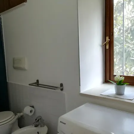 The Windows House